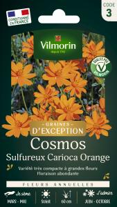 Cosmos Sulphureus Carioca - Graines d'Exception